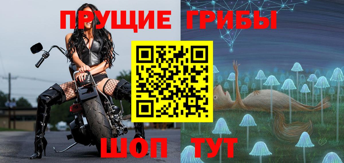 Михайловск  Галлюциногенные грибы прущие грибы  Вход с VPN 